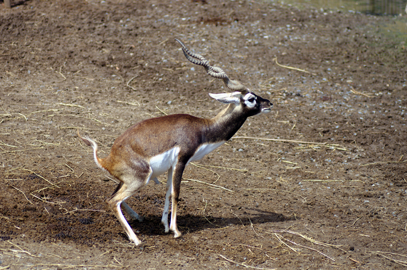 IMGP2522.JPG