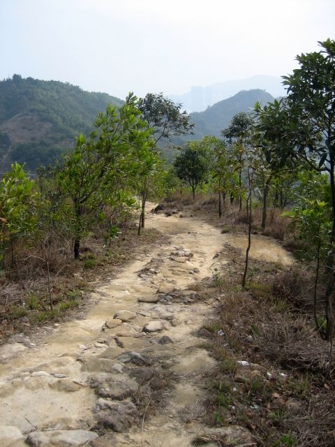 DPP_1342.JPG