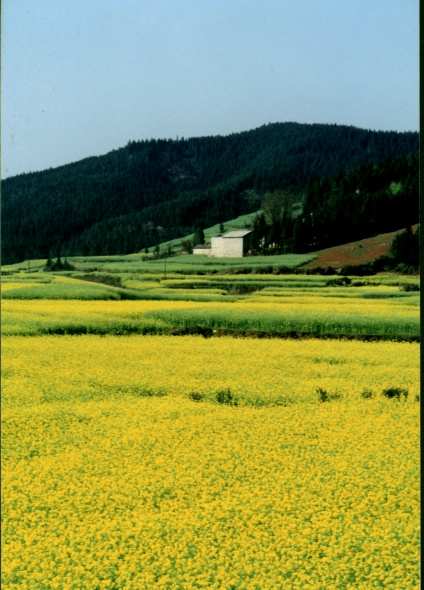 photo2.JPG