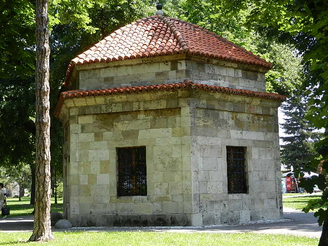 DSCN9706.JPG