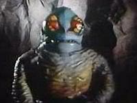 28 變色龍法度馬.jpg