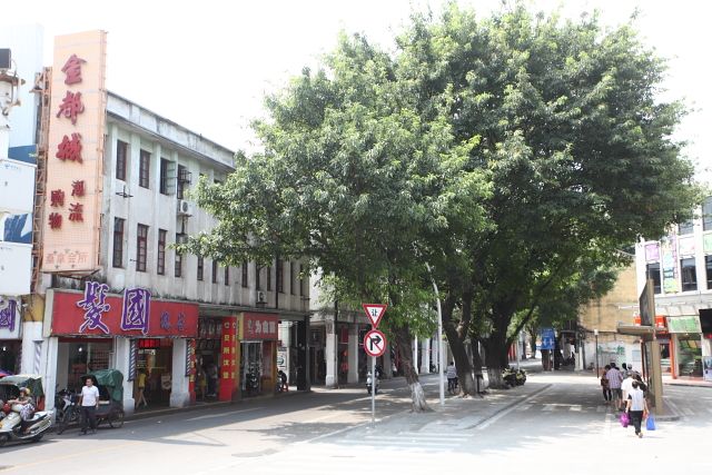DPP_1350.JPG