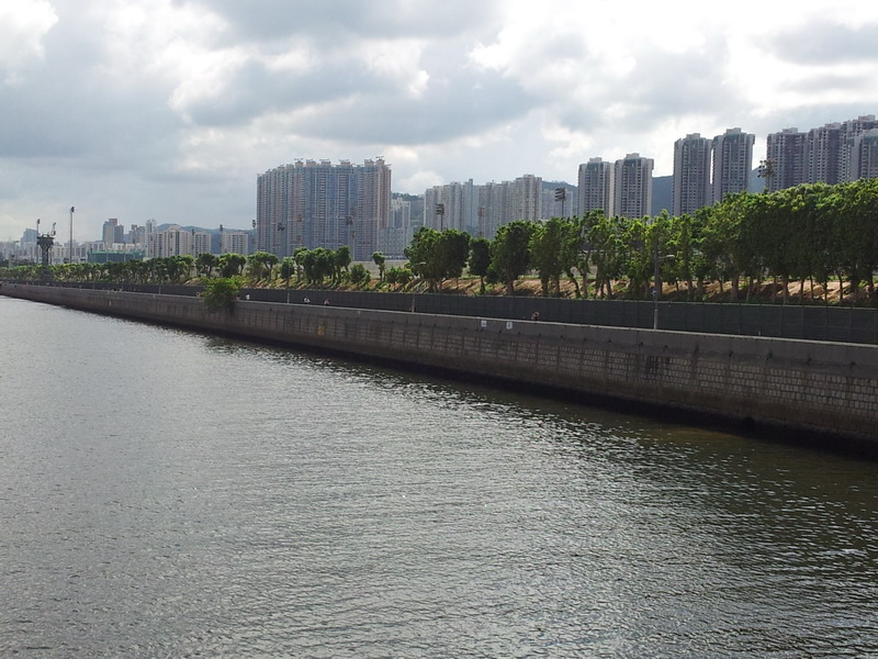 20120901_145200a.jpg
