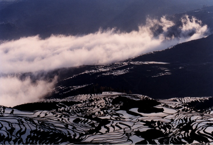 photo4.JPG