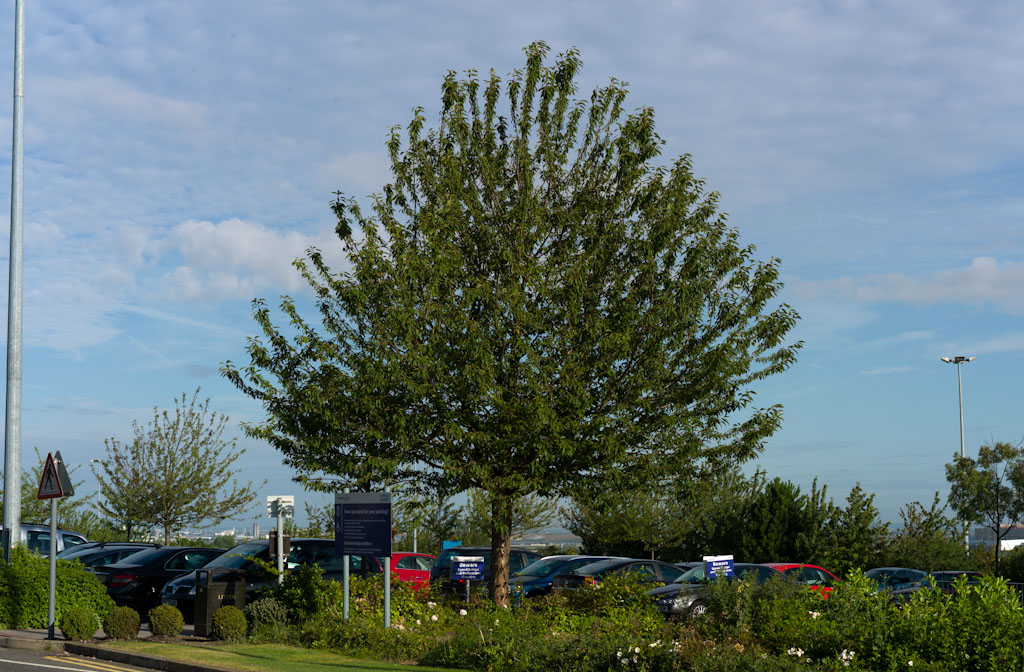 L1000579.jpg