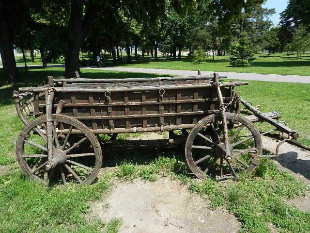 DSCN9708.JPG