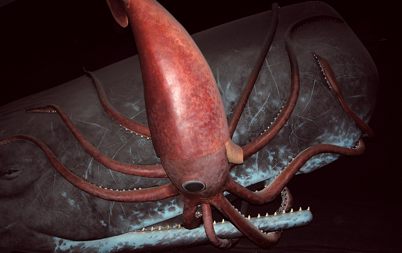 Giant squid.jpg