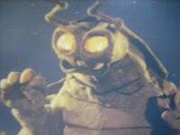 24 光熱怪獸 基拉.jpg