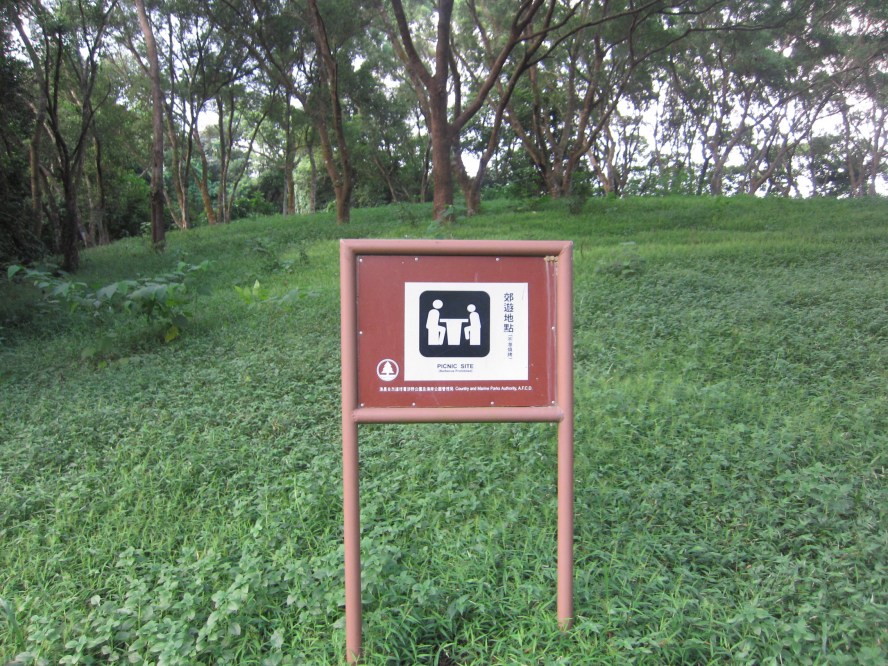 10.JPG