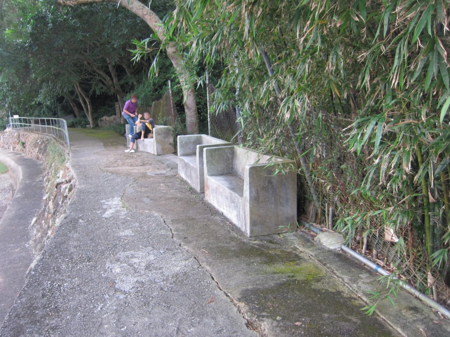 14.JPG