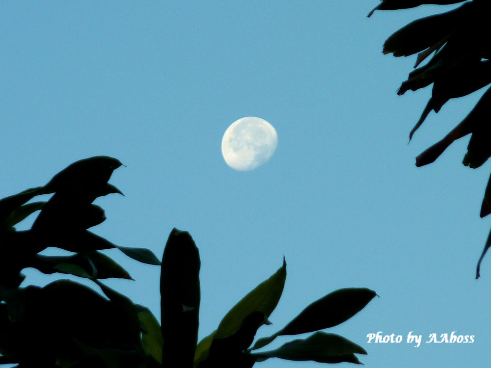 50903moon.jpg