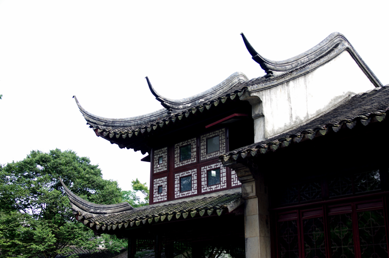 IMGP1031.JPG