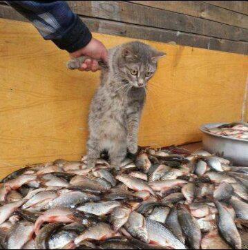 細路, 你同我出黎.jpg