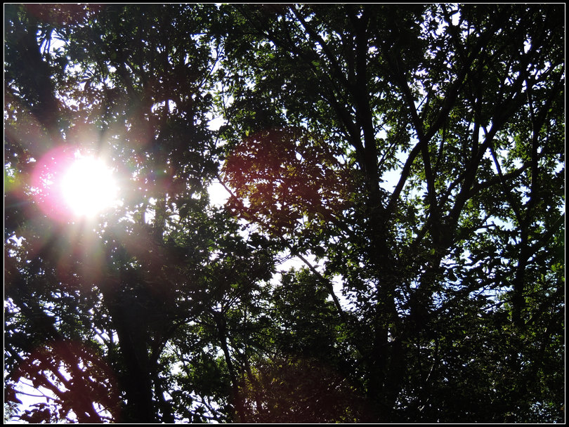 DSCN1871.jpg