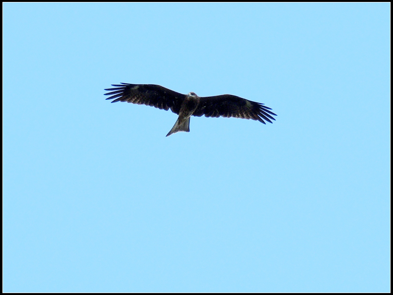 DSCN1905.jpg