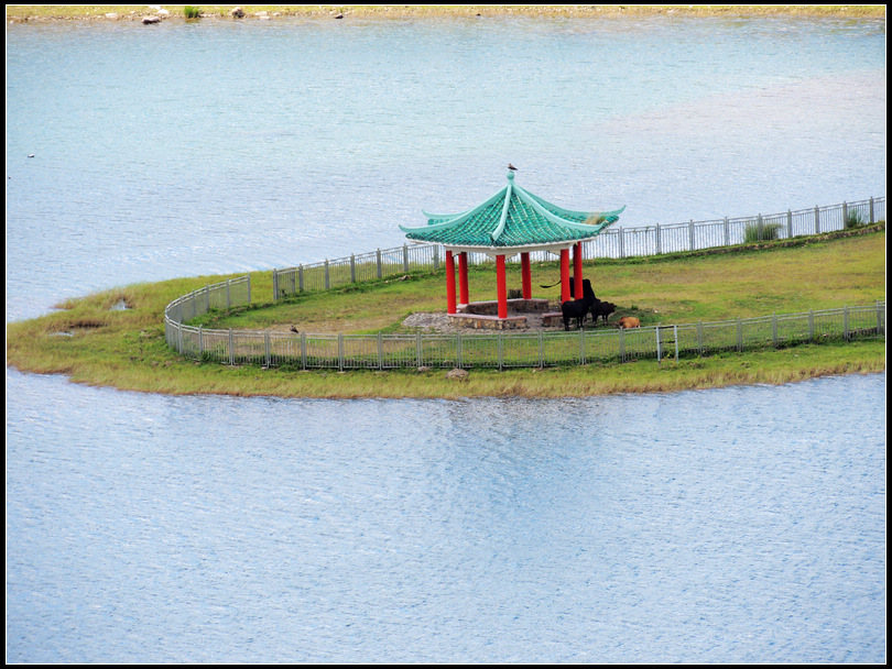 DSCN1922.jpg