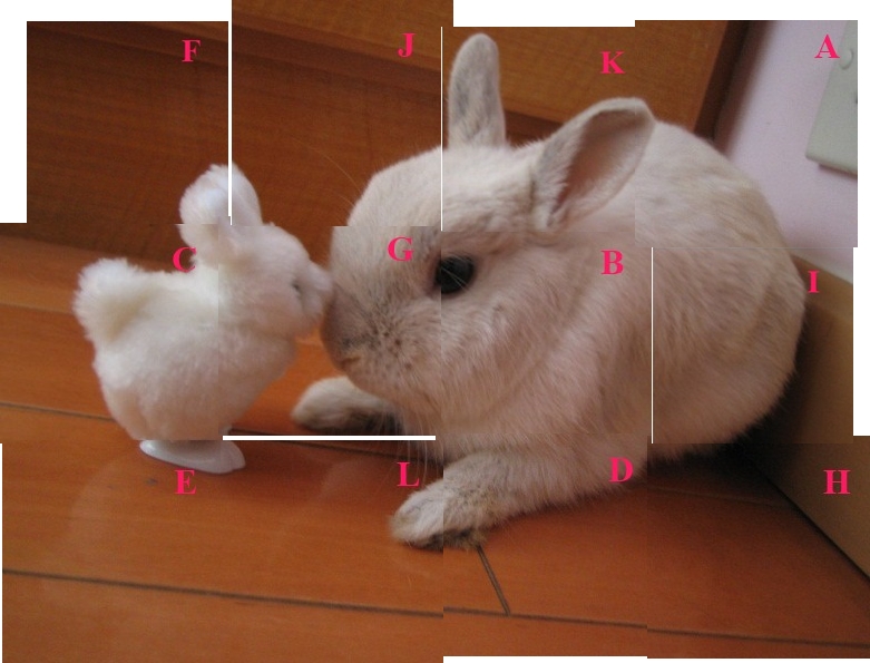 Answer.jpg
