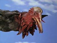 18 始祖怪鳥 狄羅切爾斯.jpg