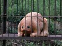 26 宇宙小怪獸 古布古布.jpg