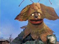 62 懶惰怪獸 耶米泰蘭斯.jpg