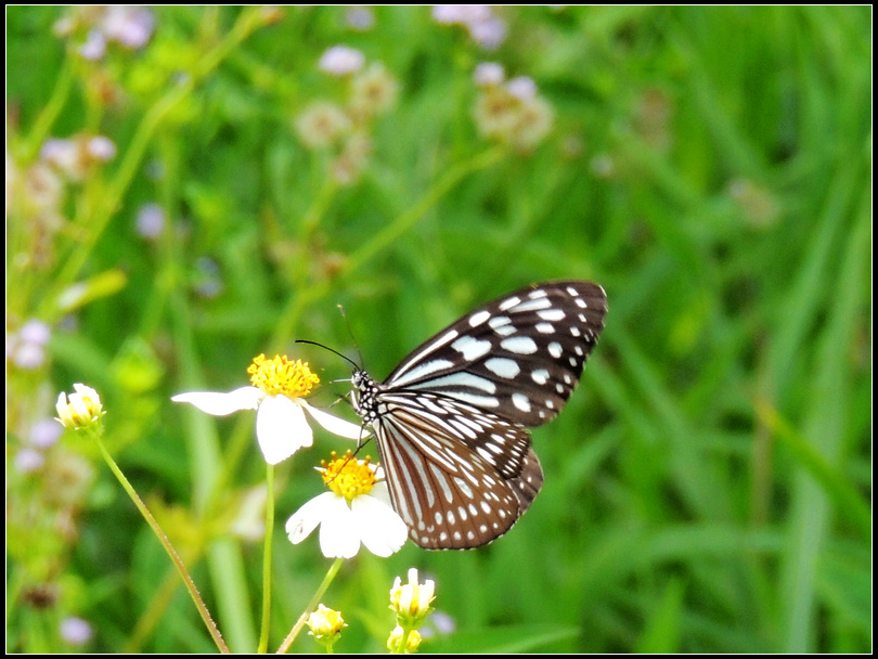 DSCN1884.jpg