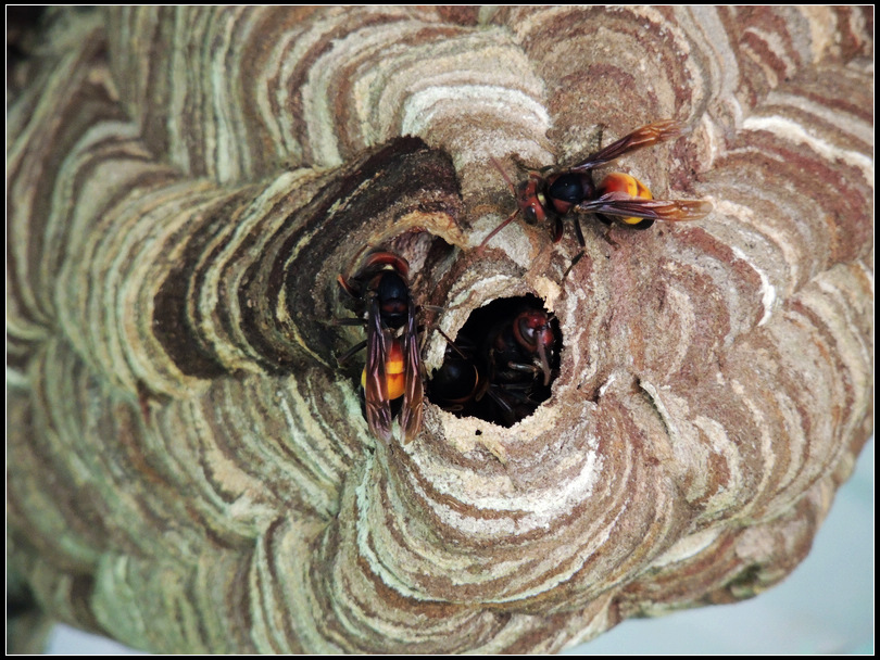 DSCN2036.jpg