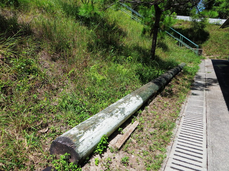 調整大小nEO_IMG_IMG_1115_resize.jpg
