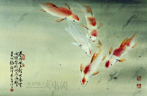 錦鯉10.jpg