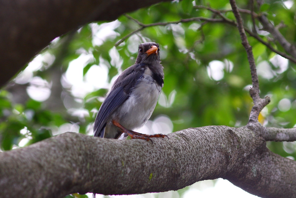 IMG_7137.JPG