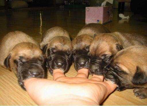 7 - 頂住檔先.jpg