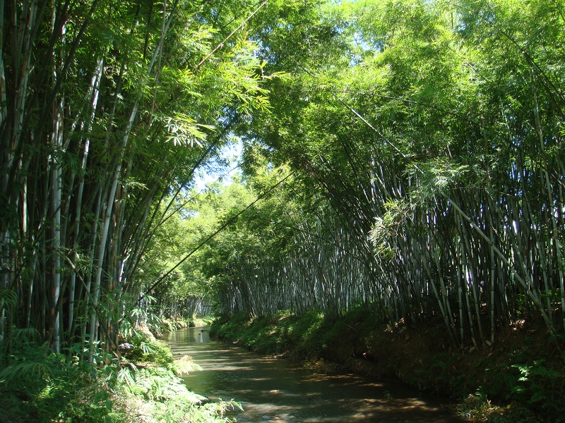DSC09735.JPG