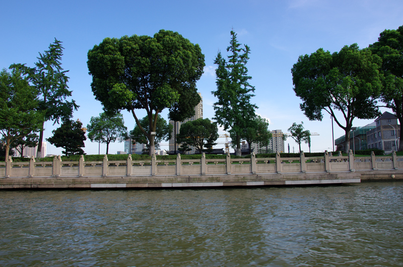IMGP1070.JPG