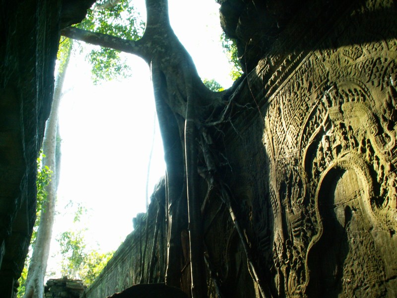 PICT1252.JPG