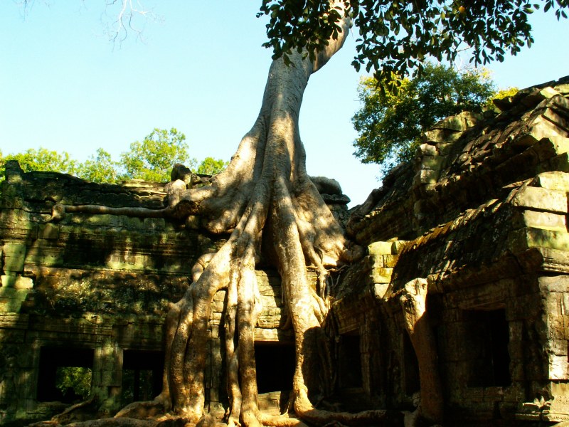 PICT1249.JPG