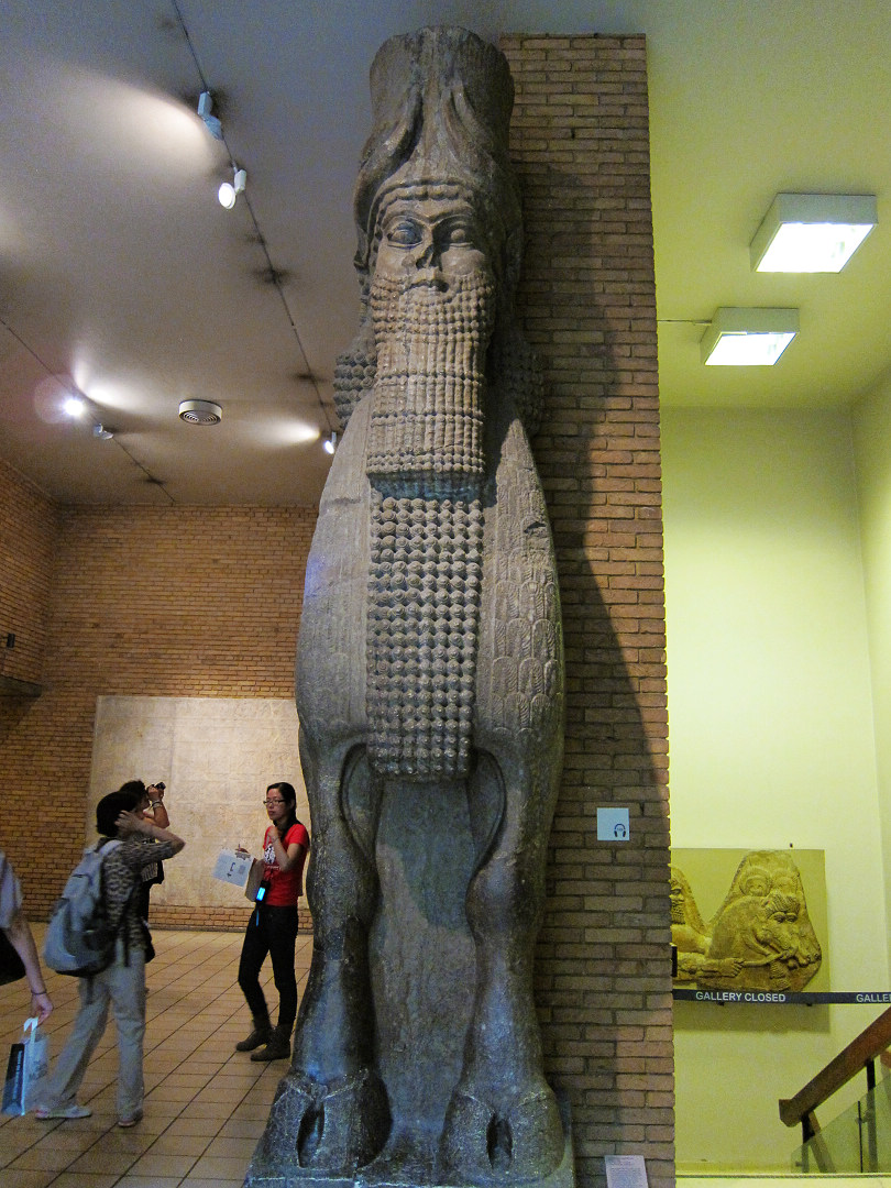 IMG_8349.jpg