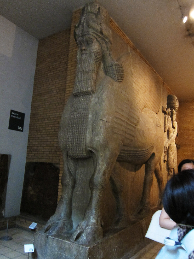 IMG_8350.jpg