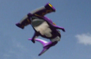 3 牙吠槌頭鯊.jpg