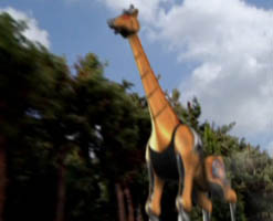 2 牙吠長頸鹿.jpg