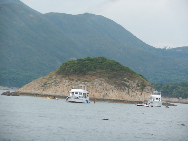 DSCN8688.JPG