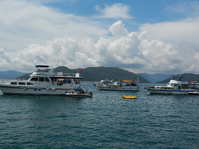 DSCN8677.JPG