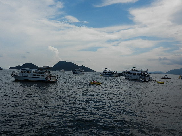 DSCN8685.JPG