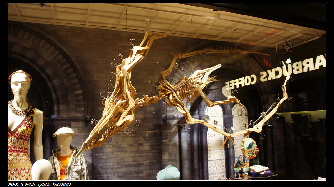 nEO_IMG_DSC04565.jpg