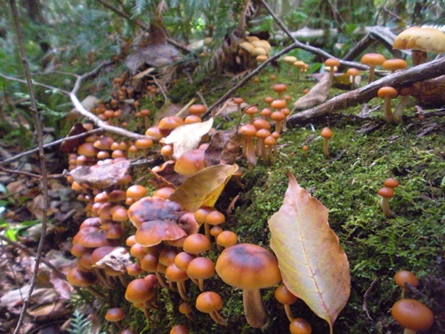 DSCN9479.JPG