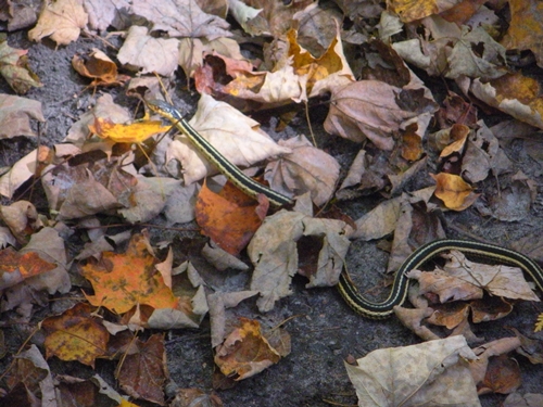 DSCN9435.JPG