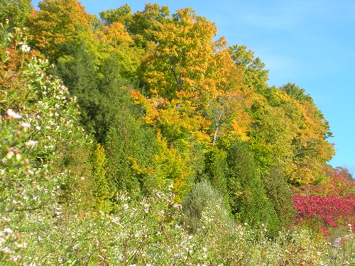 DSCN9411.JPG
