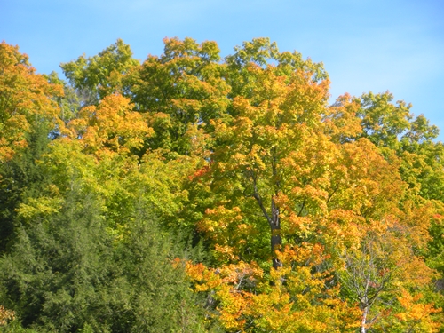 DSCN9408.JPG