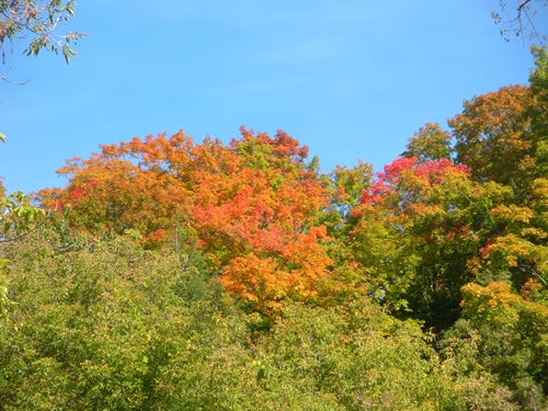 DSCN9407.JPG