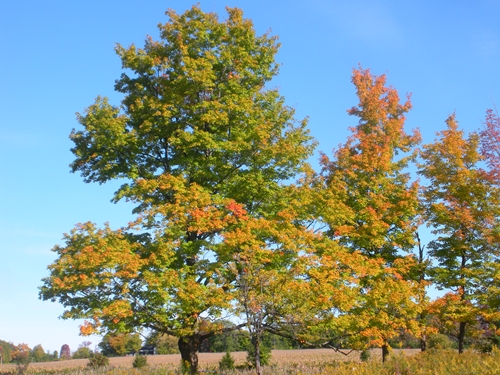 DSCN9384.JPG
