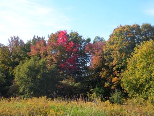 DSCN9381.JPG