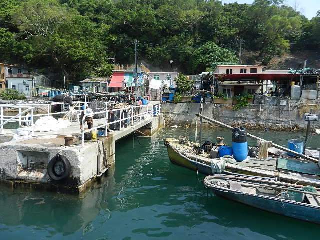 DSCN8814.JPG